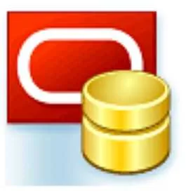 Oracle Maestro Professional 16.1.0.5