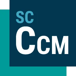 Siemens Star CCM+ 2510.0001 v20.06.010-R8 Win/Linux + APT