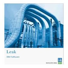 DNV Leak 3.3