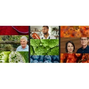 MasterClass – Gut Health 2024-1