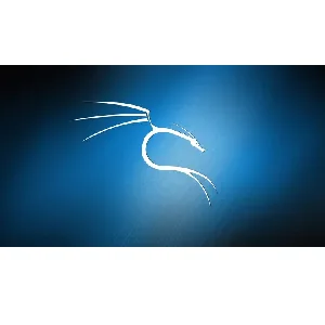 Udemy – KALI Linux Complete Course: Hacking with Kali Linux 2023-9