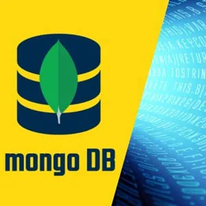 Udemy – MongoDB – The Complete Dev BootCamp | Beginner-Expert (2024) 2022-11