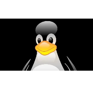 Udemy – Linux Administration 1 2023-8
