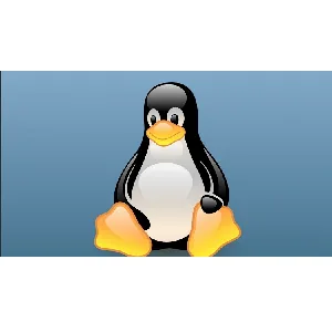 Udemy – Learn Linux User Space Debugging 2020-5