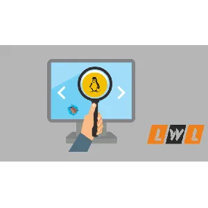 Udemy – Testing Linux Kernel 2020-11