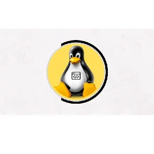 Udemy – Linux Shell Scripting Beginner Course [2024] 2023-8