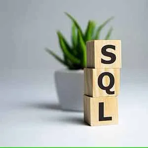 Udemy – Project : Implement SQL-RDBMS from Scratch in C/C++ 2024-1