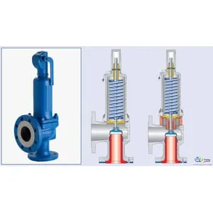 Udemy – Pressure Relief Valves – Optimum Performance & Safety 2022-5