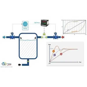 Udemy – Process Control & PID Controllers : Principles Design Tuning 2025-11