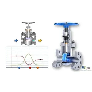 Udemy – Sizing valves and control valves for the process industry 2022-11