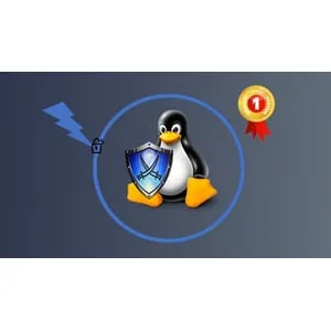Udemy – Complete Linux Security & Hardening with Practical Examples 2021-11