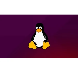 Udemy – Linux Network Administration and Services Deployment 2023-11