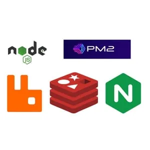 Udemy – Node JS Cluster with PM2, RabbitMQ, Redis and Nginx 2020-2