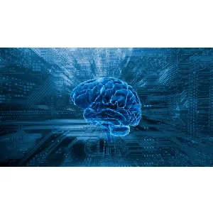 Udemy – Build 75 Powerful Data Science & Machine Learning Projects 2025-9