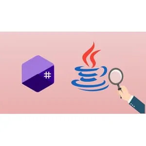 Udemy – Reverse Engineering & Malware Analysis of .NET & Java 2024-12