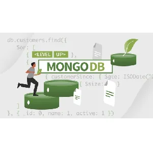 LinkedIn – Coding Exercises: MongoDB 2022-11