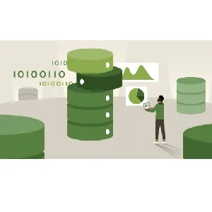 LinkedIn – Data Analysis: Investigate with SQL 2023-4
