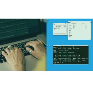 Pluralsight – Specialized DFIR: Windows Registry Forensics 2023-4