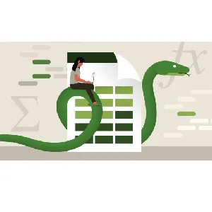 LinkedIn – Using Python with Excel 2023-8