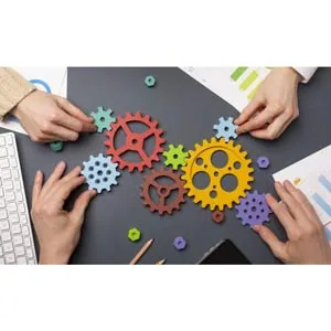 Udemy – Build your Project Management Office (PMO) Step by Step 2023-11