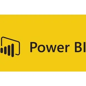 Udemy – Power BI: A Beginner’s Guide to Visualization and Analysis 2023-8