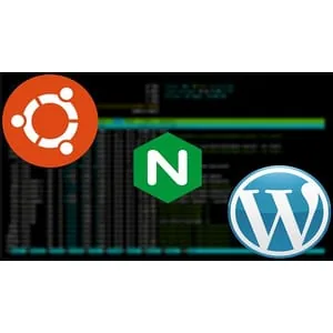 Udemy – The Perfect Nginx Server – Ubuntu (22.04) Edition 2023-12