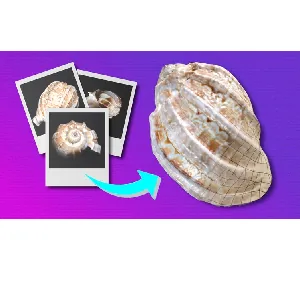 Udemy – Photogrammetry : Turn Images into 3D Models 2022-5