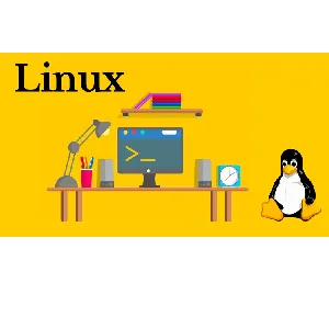 Udemy – Linux Mastery: From Beginner to Confident Linux User 2024 2023-3