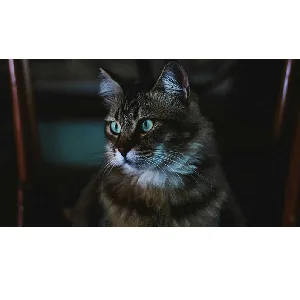 NestJS – NestJS Microservices 2024-4