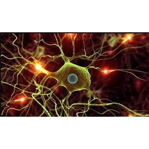 Udemy – Data Science: Modern Deep Learning in Python 2025-11
