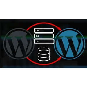 Udemy – WordPress: Migration Mastery 2023-9
