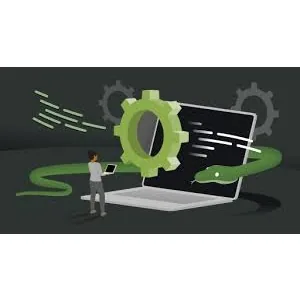 LinkedIn – Using Python for Automation 2024-5