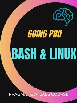 Oreilly – Linux and Bash: Going Pro 2024-5