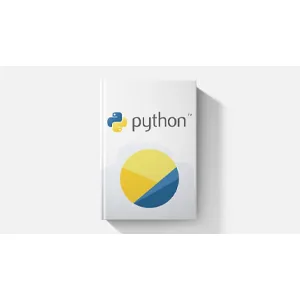 Udemy – Python: The Professional Guide For Beginners (2025 Edition) 2025-1