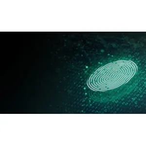INE – Web Application Penetration Testing: Web Fingerprinting and Enumeration 2022-12