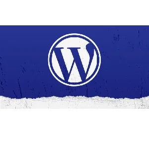Udemy – WordPress as a NoCode Tool for Beginners 2024-5