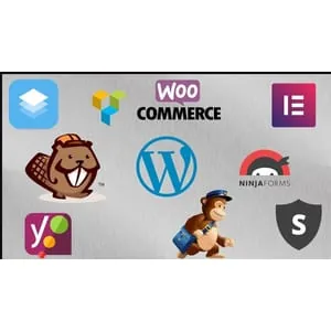 Udemy – The Complete Guide to the Best 200 WordPress Plugins 2020-2