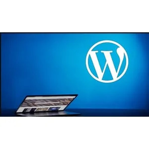 Udemy – WordPress for Beginners 2020-8