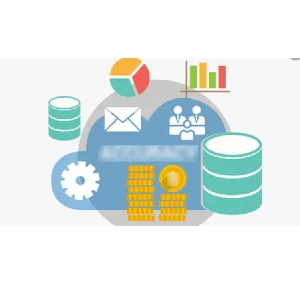 Udemy – SAP ABAP Programming Reports, Adobe Forms, CDS, AMDP & more 2024-11