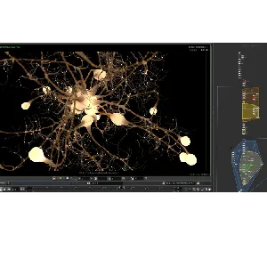 Udemy – Power of procedural in Houdini FX 2024-5