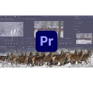 Udemy – Learn Premiere Pro: Video Editing for Absolute Beginners 2024-4