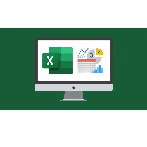 Udemy – Microsoft Excel 365 Advanced 2024-5