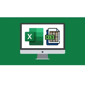 Udemy – Microsoft Excel 365 Essentials 2024-5