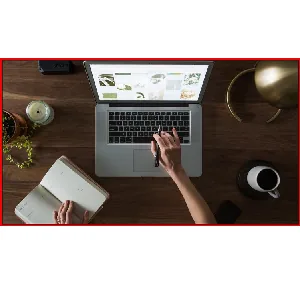 Udemy – WordPress. Basic and Advanced. No coding. 2024 2024-1