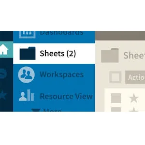 LinkedIn – Smartsheet Essential Training 2024-6