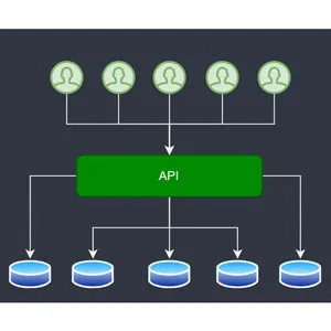 Udemy – Advanced .NET Web API: Multi-Tenant Applications(OLD COURSE) 2024-12