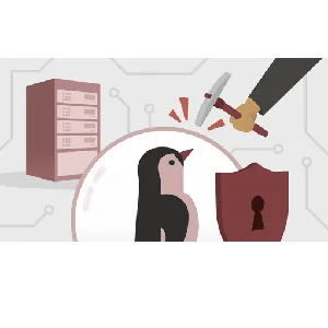 LinkedIn – Linux Hardening 2024-6