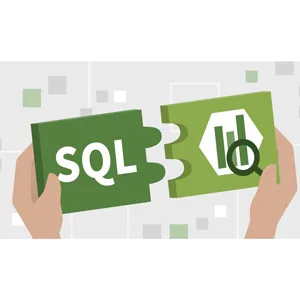 LinkedIn – Introduction to SQL Using Google BigQuery 2024-1