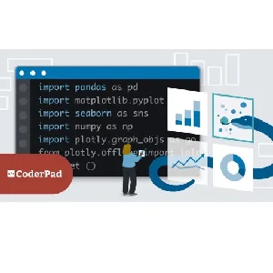 LinkedIn – Python for Data Analysis: Solve Real-World Challenges 2024-5