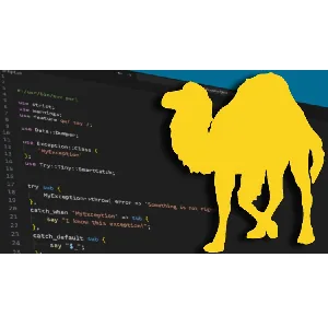 Udemy – Perl Programming: Understanding The Basics [2024] 2024-6